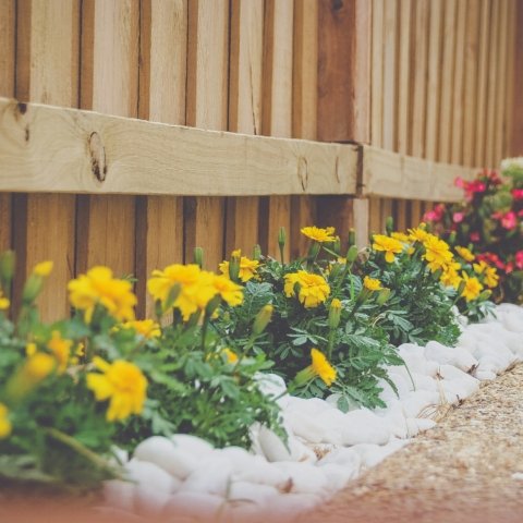 matt-chen-ORiFLge1Cus-unsplash Vallas y cercados de jardín - Jardinería Palamós